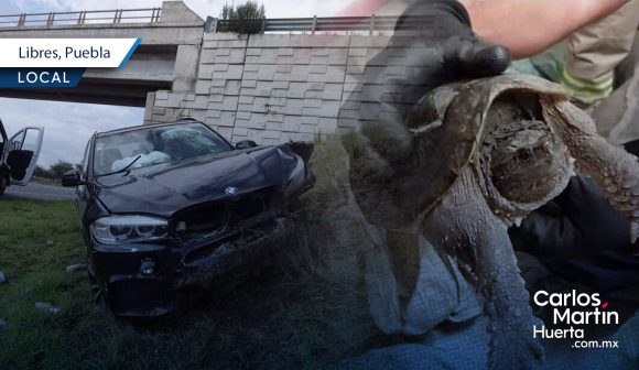 Choca su BMW en Libres donde escondía tortugas y lagartos