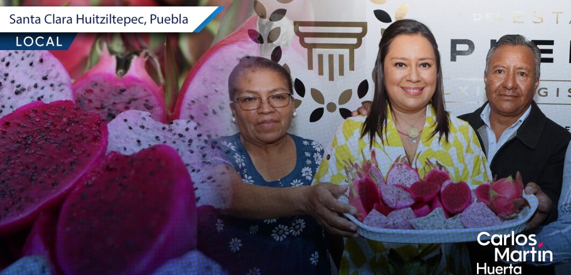 Presentan Expo Feria Agroartesanal de la Pitahaya de Santa Clara Huitziltepec