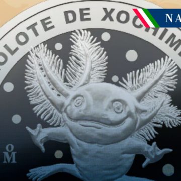 Lanzan medallas conmemorativas por los 100 años del Zoológico de Chapultepec