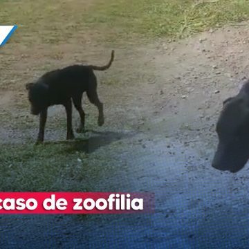 Menor repite caso de zoofilia en Atlixco; ahora contra Celi