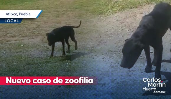 Menor repite caso de zoofilia en Atlixco; ahora contra Celi