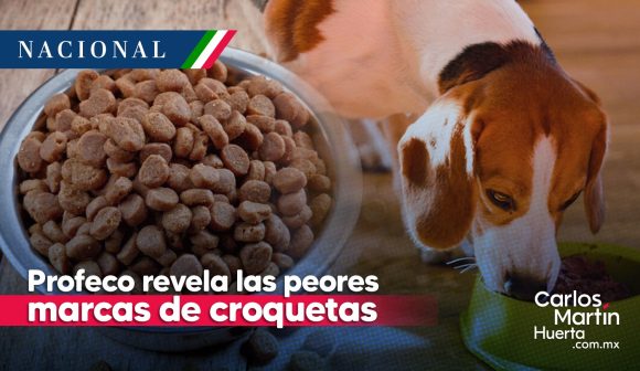 Profeco - croquetas - perros Profeco revela las peores marcas de croquetas para perros