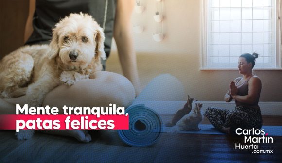 ¿Existe la meditación para mascotas? Relájate perrunamente