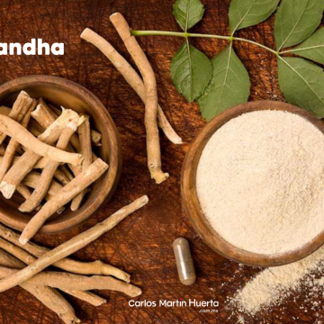 ¿Para que sirve la Ashwagandha? Descubre sus beneficios, el remedio natural contra el estrés.