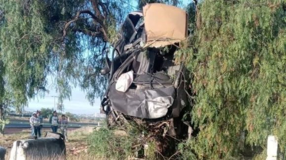 Pareja muere luego de subirse a un árbol por exceso de velocidad