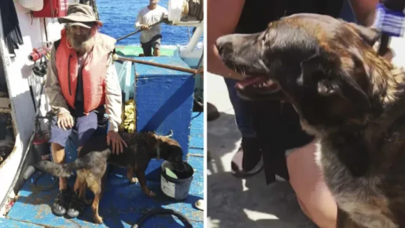 Náufrago australiano y su perrita, rescatados por un atunero mexicano llegaron al puerto de Manzanillo, en Colima