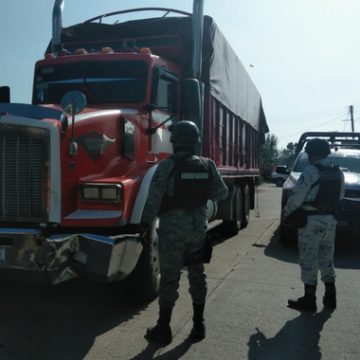 En Hidalgo,  aseguran camiones con cisternas ocultas entre costales de aserrín con estiércol