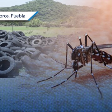 Izúcar de Matamoros es el epicentro del dengue en Puebla