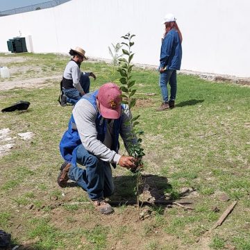 Con la entrega de 5 mil árboles, Agua de Pueblarealiza su Programa de Reforestación: “Adopta Vida”