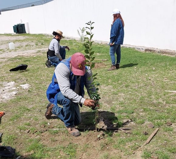 Con la entrega de 5 mil árboles, Agua de Pueblarealiza su Programa de Reforestación: “Adopta Vida”