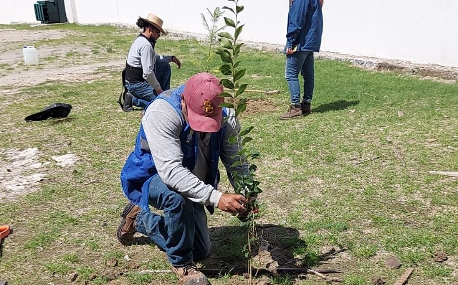 Con la entrega de 5 mil árboles, Agua de Pueblarealiza su Programa de Reforestación: “Adopta Vida”