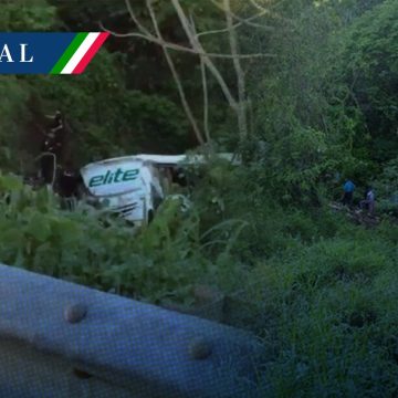 Autobús cae a barranco en Nayarit; reportan 15 muertos