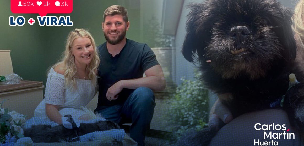 Pareja se casa en veterinaria donde estaba internado su perrito