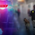  Ayuntamiento de Puebla decomisa bebidas alcohólicas en tianguis de San Isidro; sumaron 17 en abril  