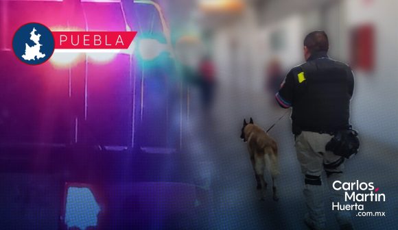 Decomiso droga - Grupo K9 Ayuntamiento de Puebla decomisa bebidas alcohólicas en tianguis de San Isidro; sumaron 17 en abril