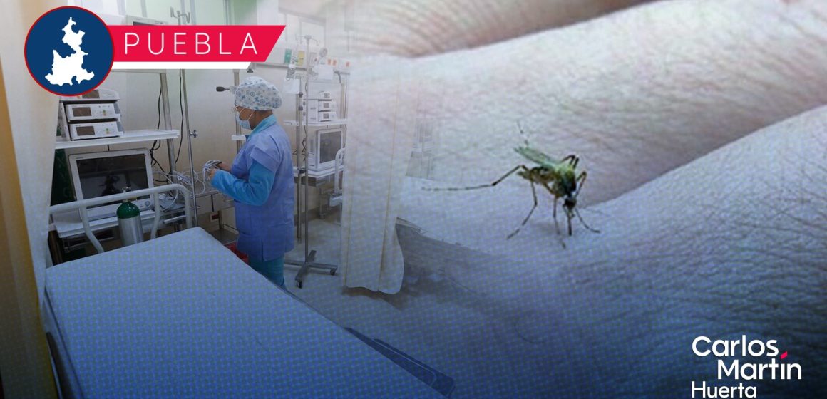 Con 42 nuevos contagios de dengue, Puebla registra un total de 898 casos