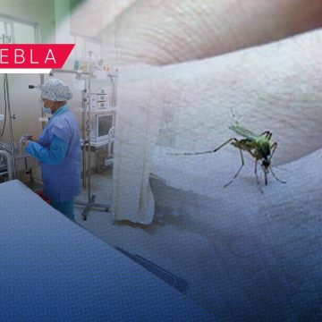 Reportan 77 contagios por dengue en 19 municipios del estado de Puebla