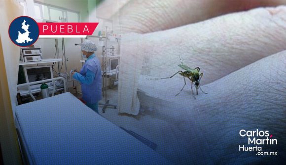 Concentran cinco municipios de Puebla el 58.9 % de casos de dengue