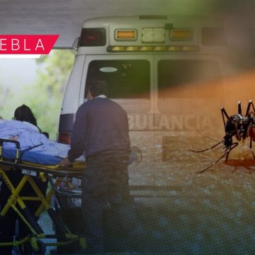 Salud Puebla reporta 13 personas hospitalizadas por dengue