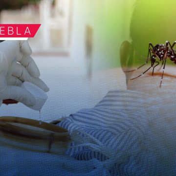 Registran 80 municipios casos de dengue en Puebla