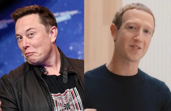 Musk anuncia que pelea contra Zuckerberg se transmitirá por X