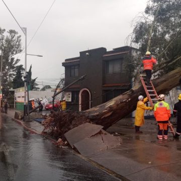 Inundaciones, autos varados, árboles y postes caídos dejó la lluvia registrada en Puebla capital