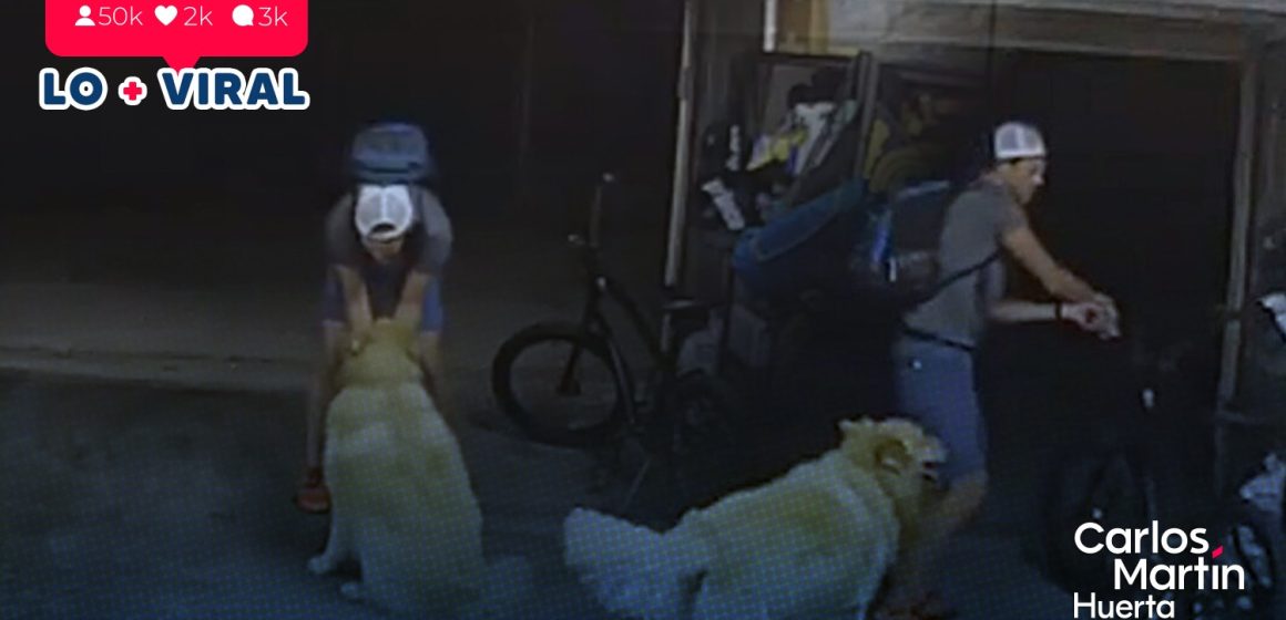 (VIDEO) Ladrón entra a una casa para roba bicicleta y se hace ‘amigo’ del perro
