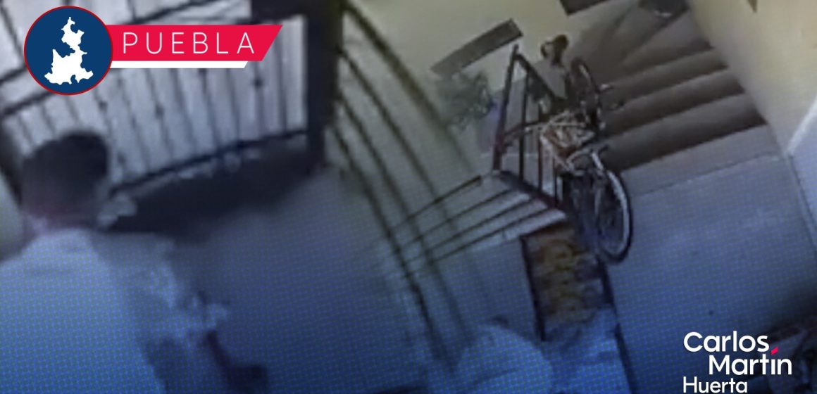 (VIDEO) Perrito es golpeado y lanzado de un edificio en Huejotzingo