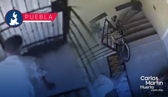 (VIDEO) Perrito es golpeado y lanzado de un edificio en Huejotzingo