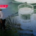 Participaran más de 100 marcas en la “Expo Mezcal Orgullo Puebla”