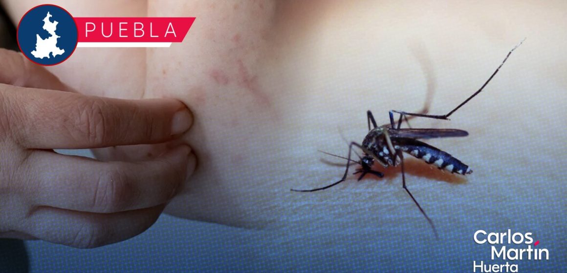Contagios por dengue se concentran en 48 municipios de Puebla