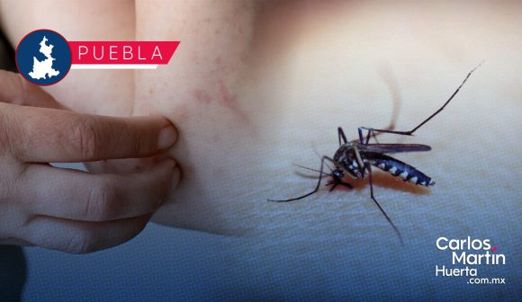 Puebla acumula mil 208 casos de dengue