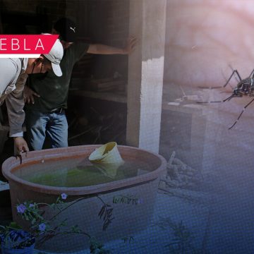 Puebla supera los mil casos por dengue