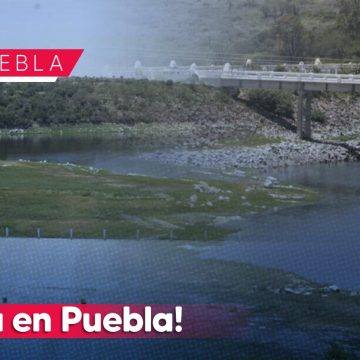 ¡Sequía en Puebla! Presas en Puebla por debajo del 50% de su capacidad; solo una está llena
