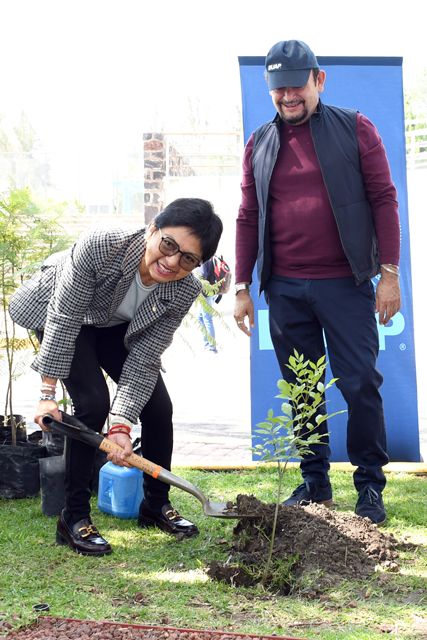 A Reforestacion 6