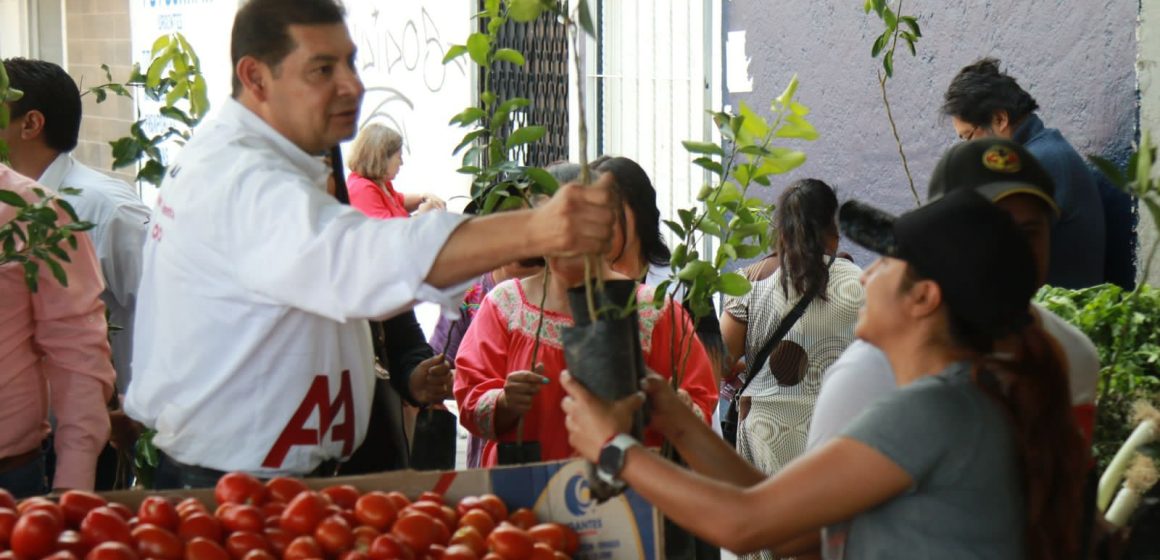 Tres mil personas promueven el cuidado del medio ambiente con Armenta