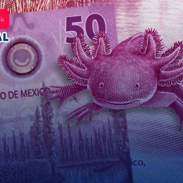 Billete del ‘ajolote’ a la venta en 8.5 mdp