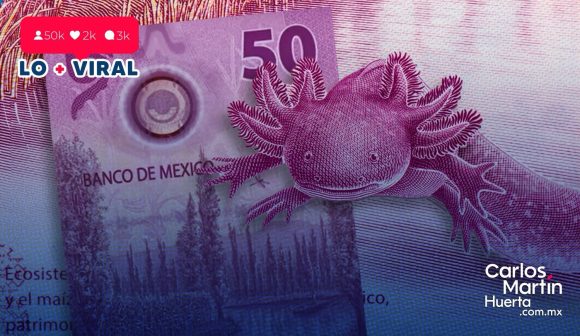 Billete del ‘ajolote’ a la venta en 8.5 mdp