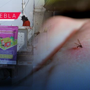 Mantienen 78 municipios de Puebla casos de dengue