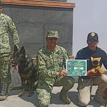 Sedena recluta a perrito que se unió al desfile militar