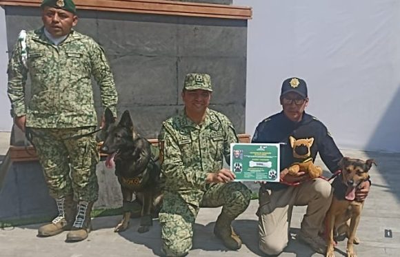 F6kRua_WUAA7mt1 Sedena recluta a perrito que se unió al desfile militar