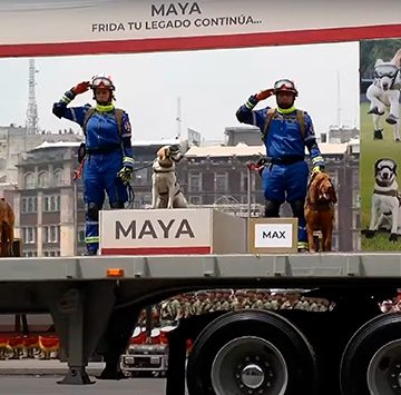 (VIDEO) Maya y Arkadas, perritos rescatistas, son presentados en desfile    