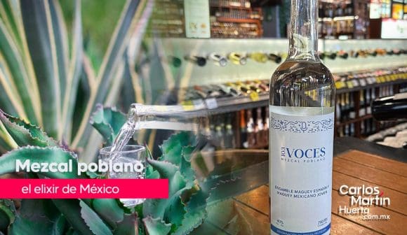 Mezcal, uno de los tesoros líquidos de México