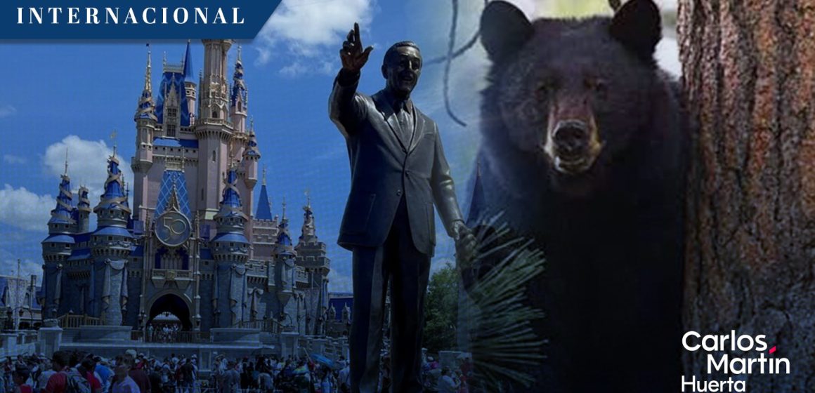 Avistamiento de oso negro genera cierre temporal de Walt Disney World