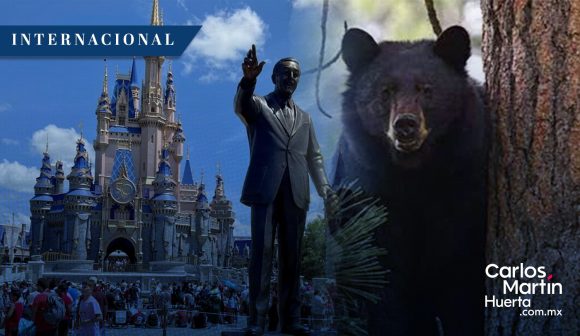 Avistamiento de oso negro genera cierre temporal de Walt Disney World