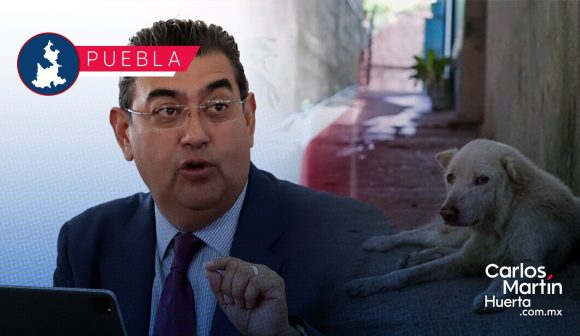 Gobierno de Puebla promoverá ley para instalación de Centros de Bienestar Animal  