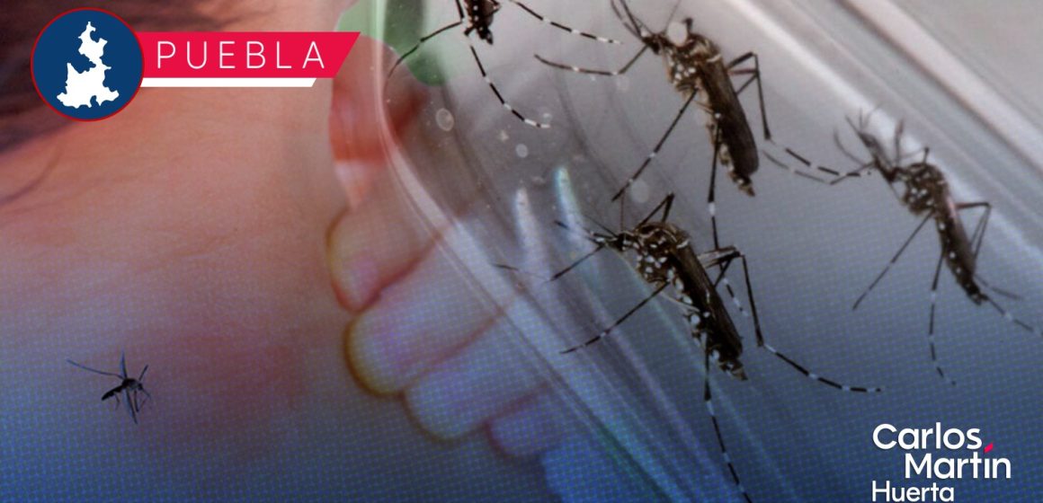 Ya  son mil 256 personas contagiadas por Dengue en Puebla