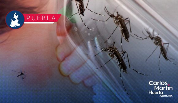 Incrementan en 24 horas contagios por dengue en Puebla