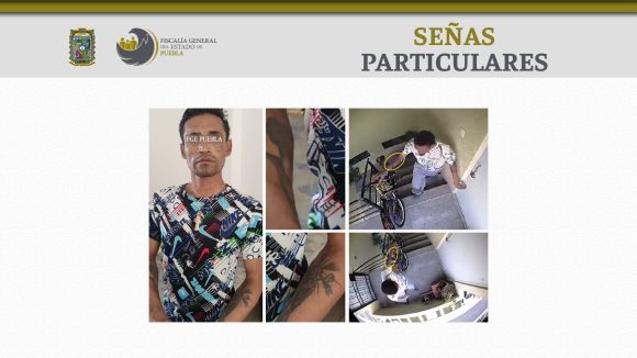 FGE obtuvo vinculación a proceso de presunto agresor de la perrita “Enedina”