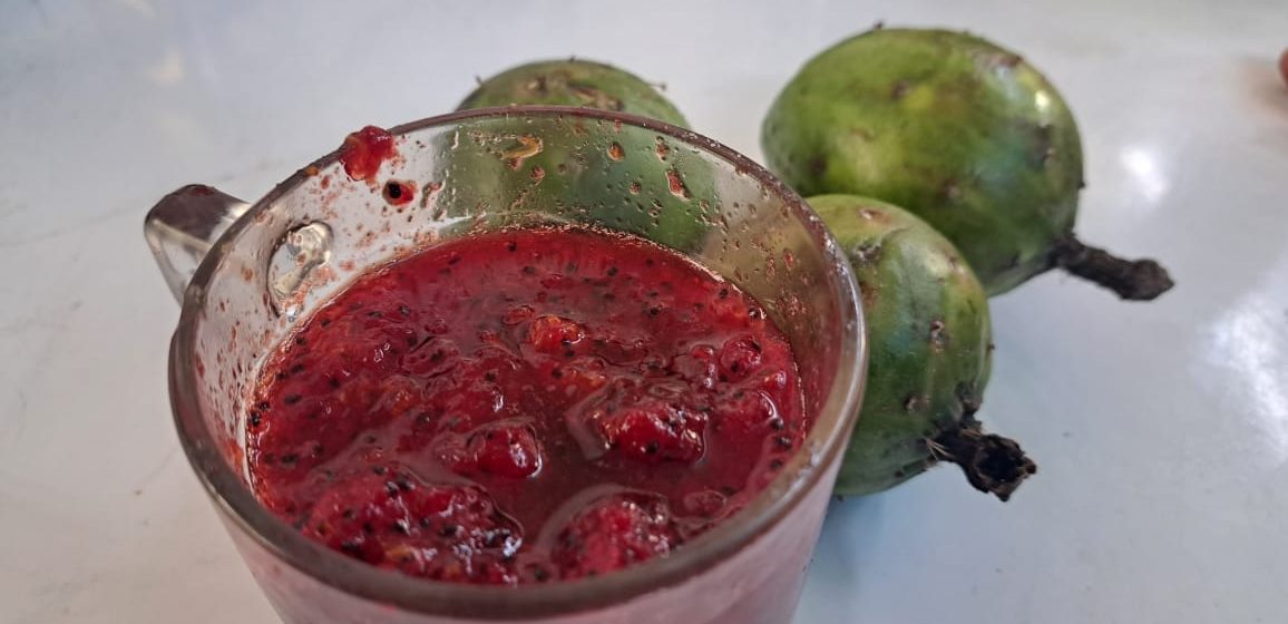 Hasta en 700 pesos se cotiza un bote de Pitaya en la mixteca poblana